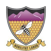 Shield emblem with purple mountains, honeycomb pattern, a bee, and banner reading 'Nobilitat Labor'.